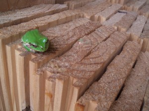 蛙と木材