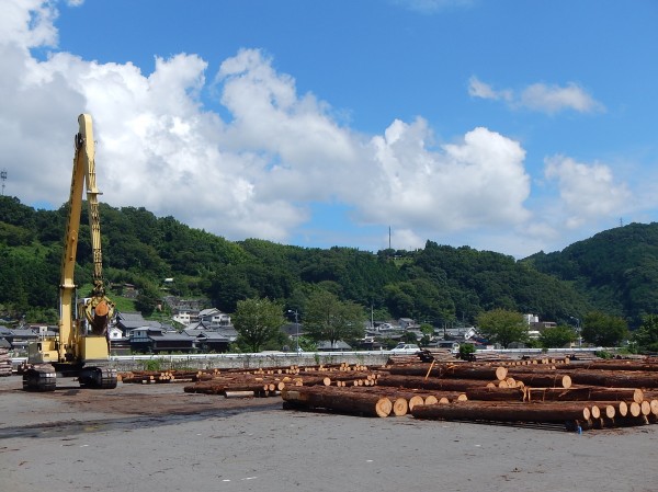 原木市場