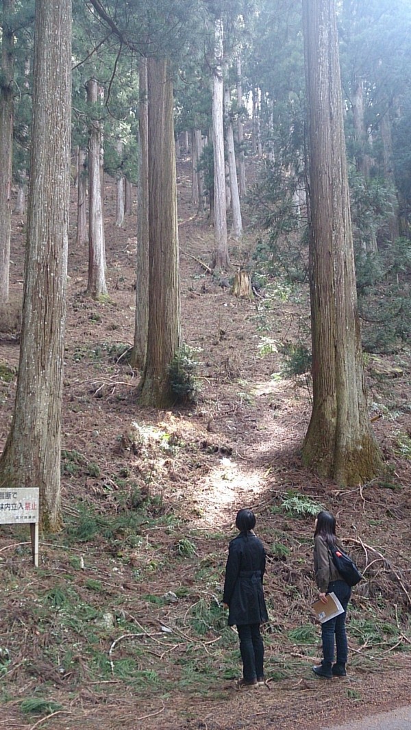 川上村