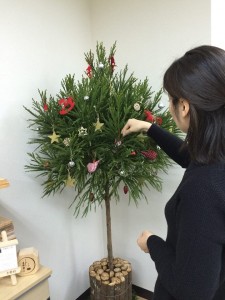 北山杉クリスマスツリー（Step2）