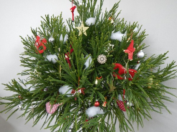 北山杉クリスマスツリー（完成）