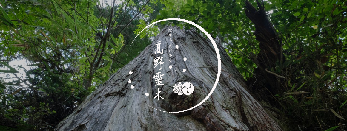 高野霊木